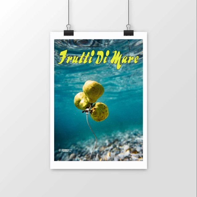 Frutti di Mare/Pear/Premium Luster Paper Poster