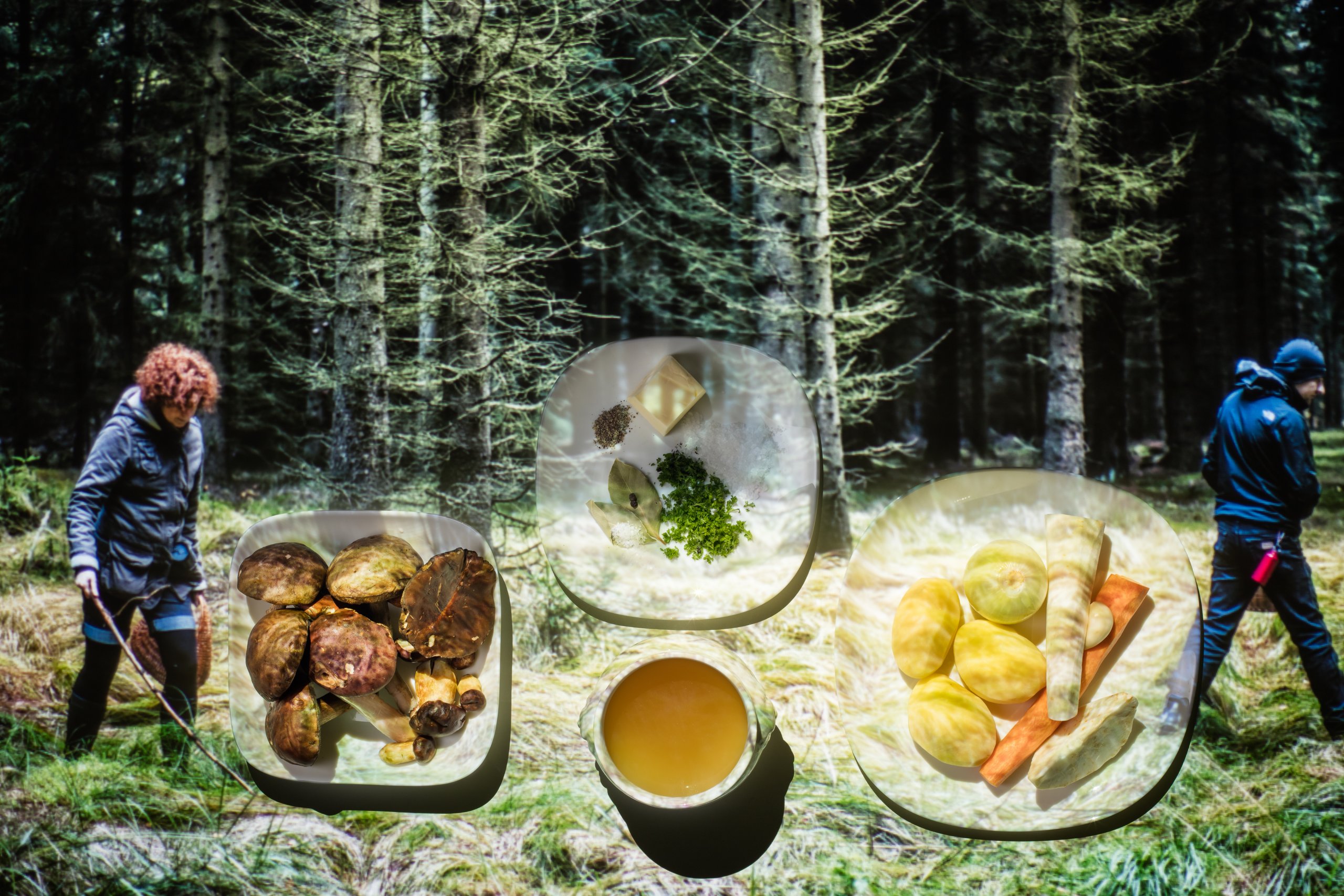 forest Mushroom soup