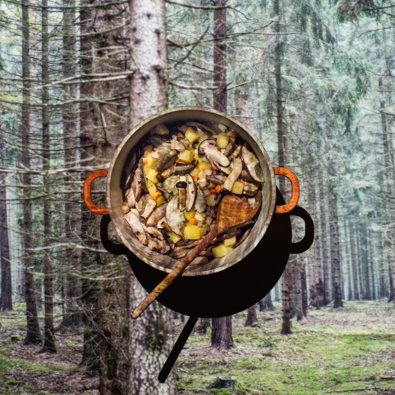 Forest Mushroom Soup