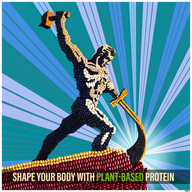 Shape your body with plant based protein_foodlydoodlydoo